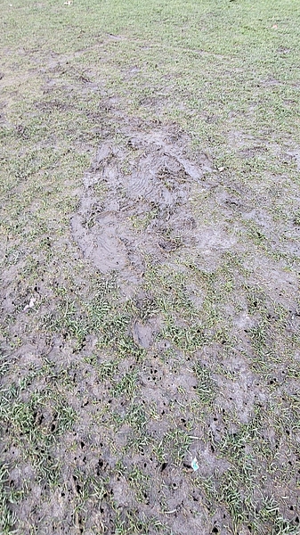 La Thiolleyres, gazon endommagé, utilisation intensive, terrain de football
